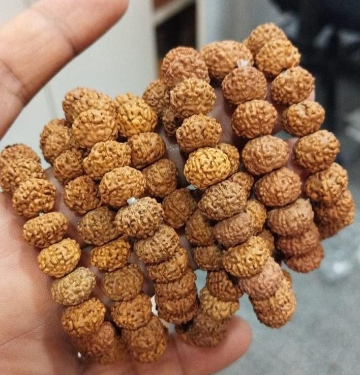 🙏 7 Mukhi Rudraksha Bracelet – Divine Energy, Timeless Style 🧘‍♂️